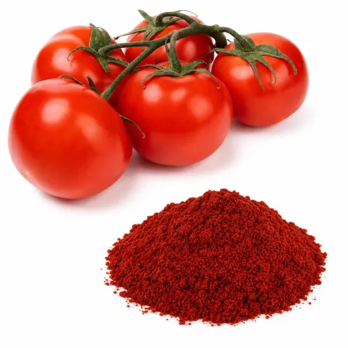 Tomates maduros vermelhos, fonte natural concentrada de licopeno antioxidante